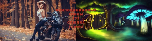 дживик Лагань