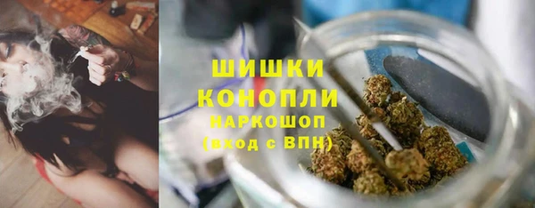 дживик Ладушкин