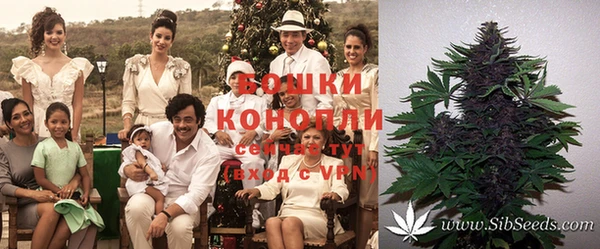 дживик Лагань