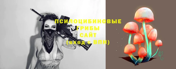 дживик Ладушкин