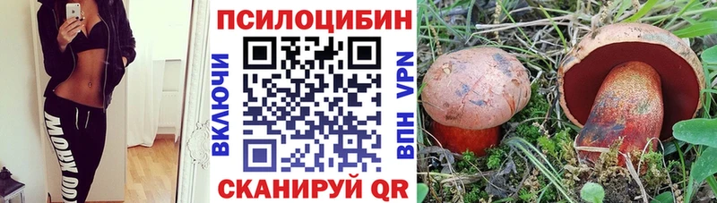 Купить где  Исилькуль  Псилоцибиновые грибы Magic Shrooms 